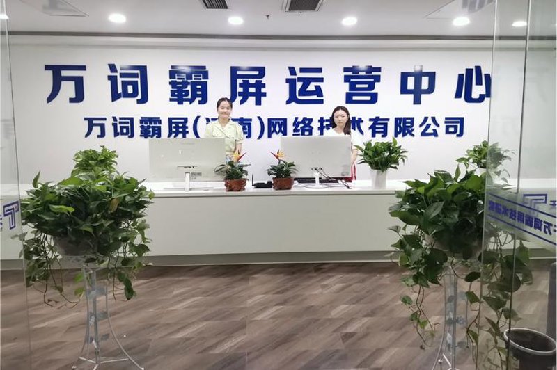 项目申报咨询
